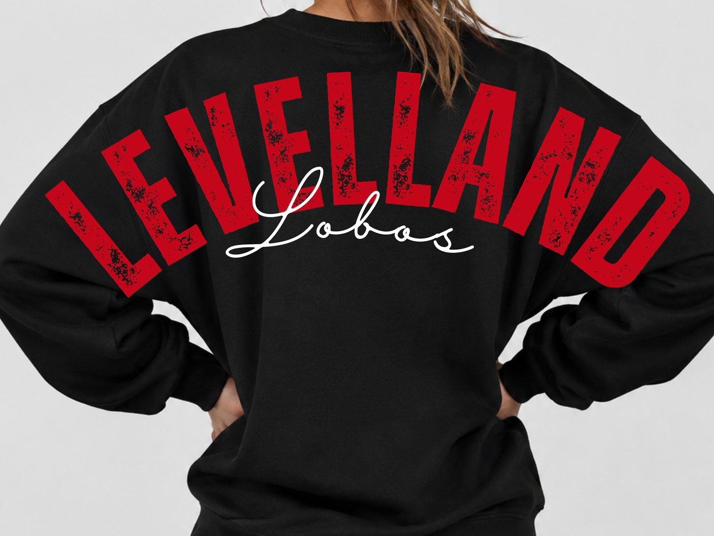 Large Print Levelland