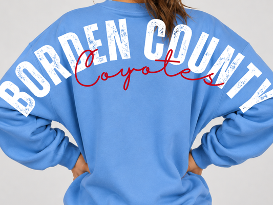 Large Print Borden County