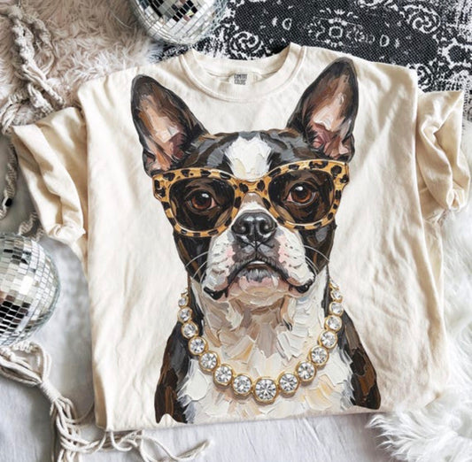 Glam Boston Terrier