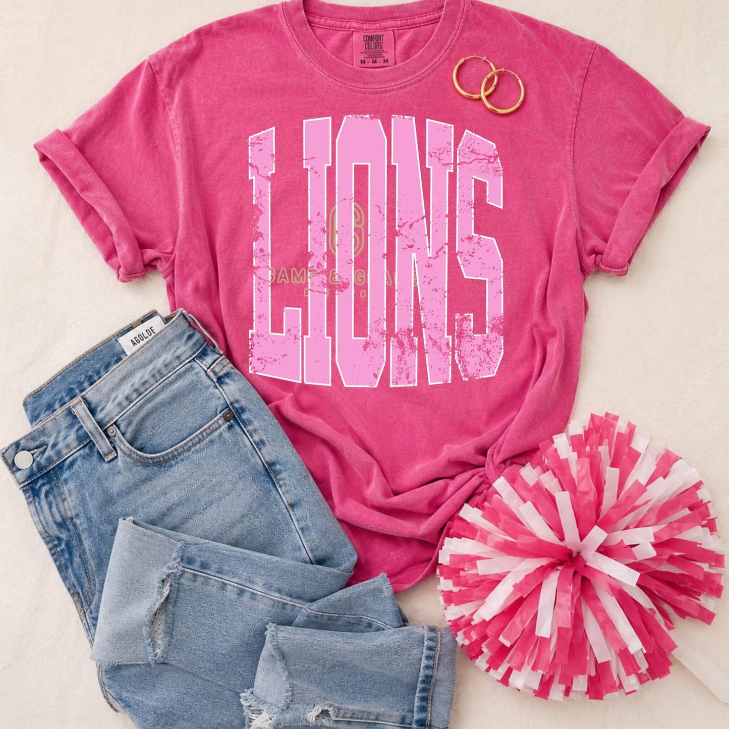 Pink Out - Lions