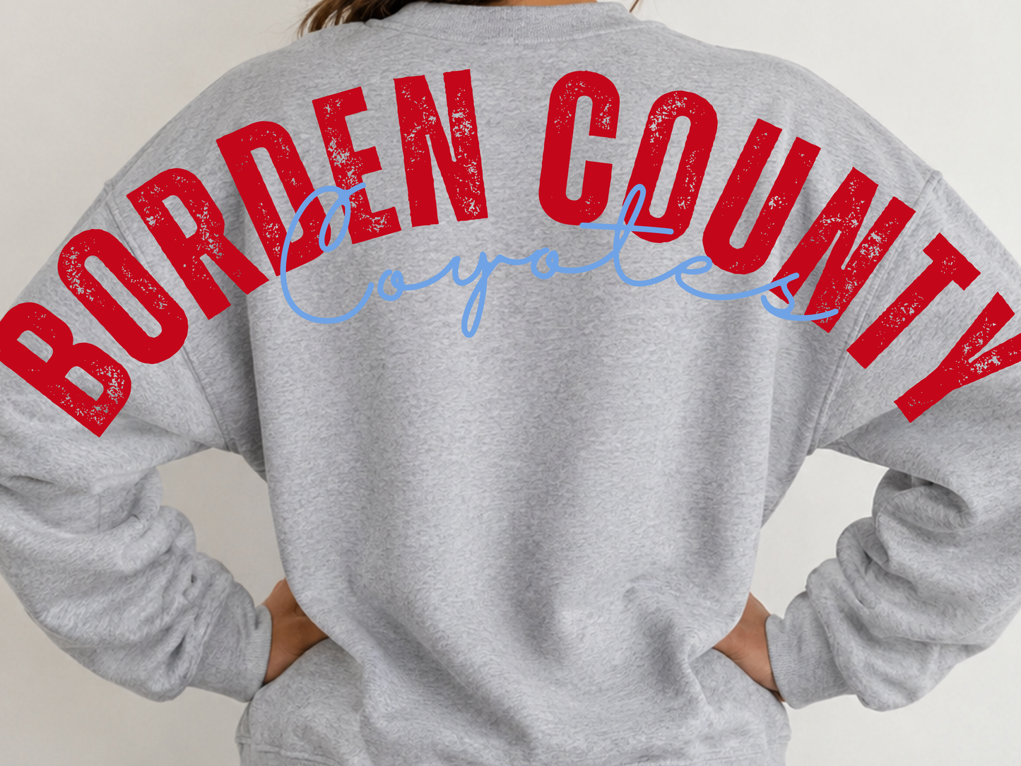Large Print Borden County
