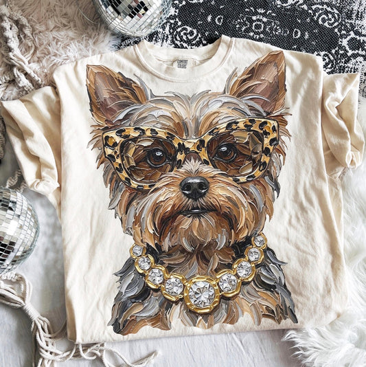 Glam Yorkie
