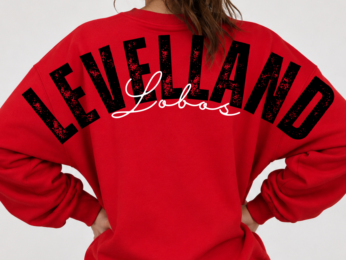 Large Print Levelland