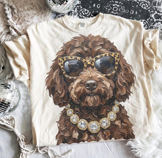Glam Goldendoodle