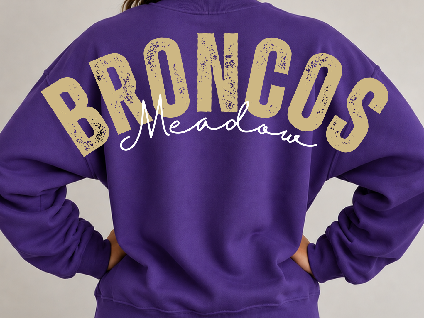 Large Print Meadow Broncos