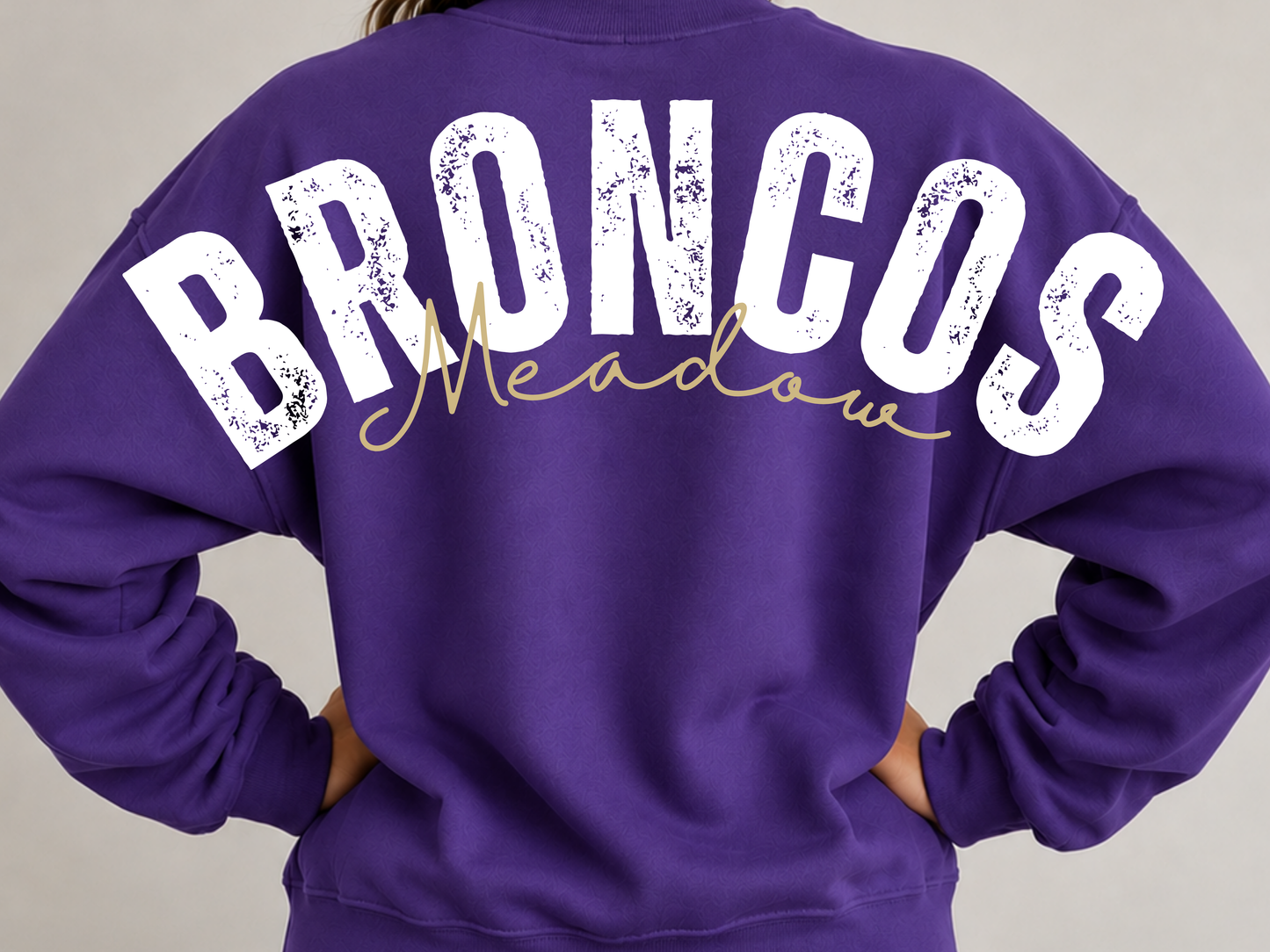 Large Print Meadow Broncos
