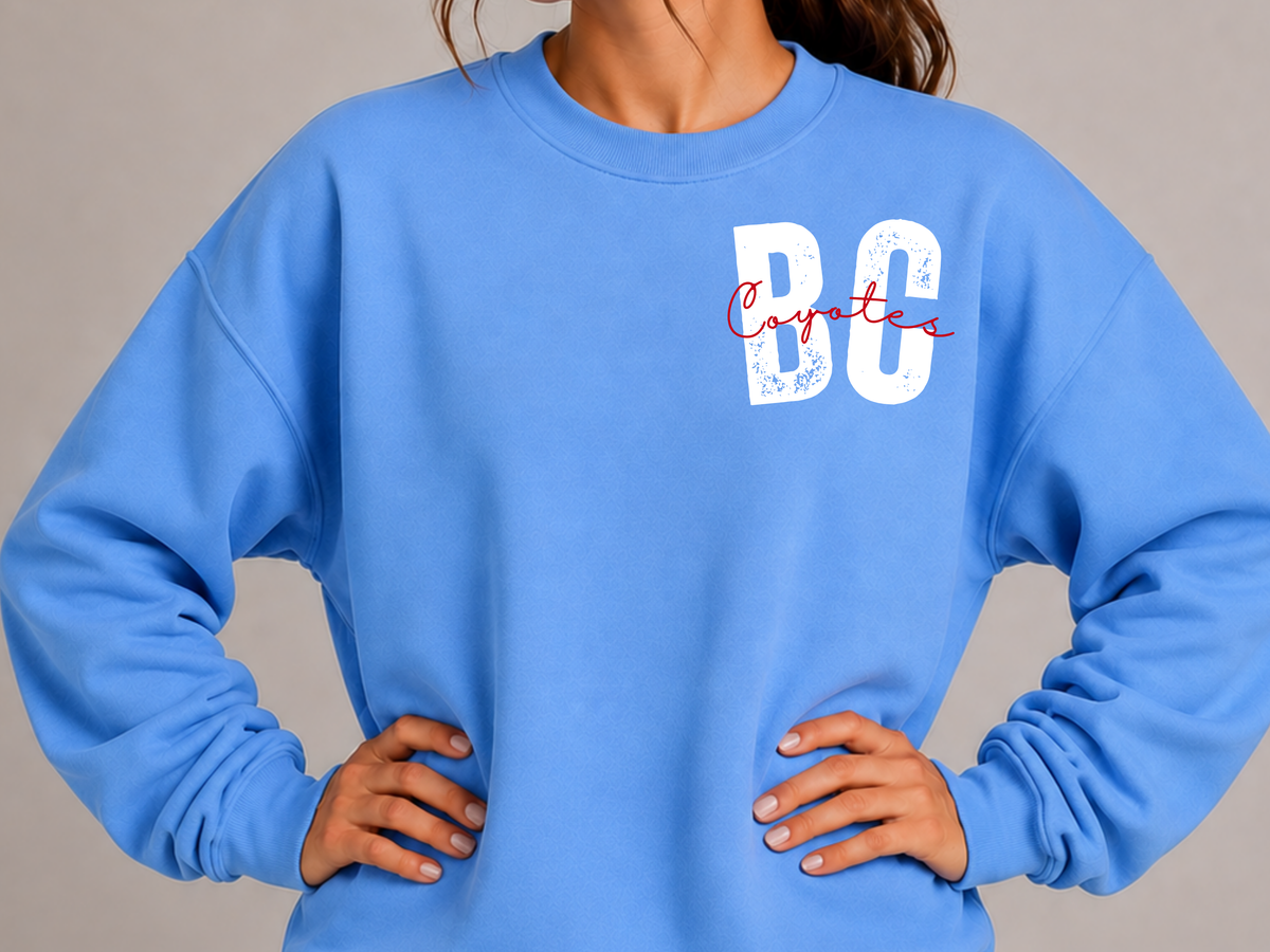 Large Print Borden County